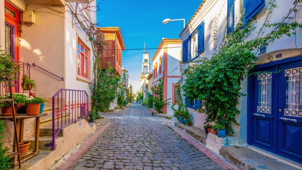 A cobbled lane of blue-shuttered island houses draped in vines in Bozcaada's old town